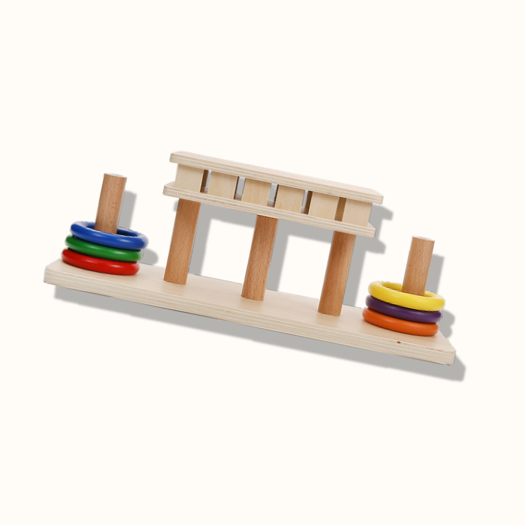 Montessori Ring Slide