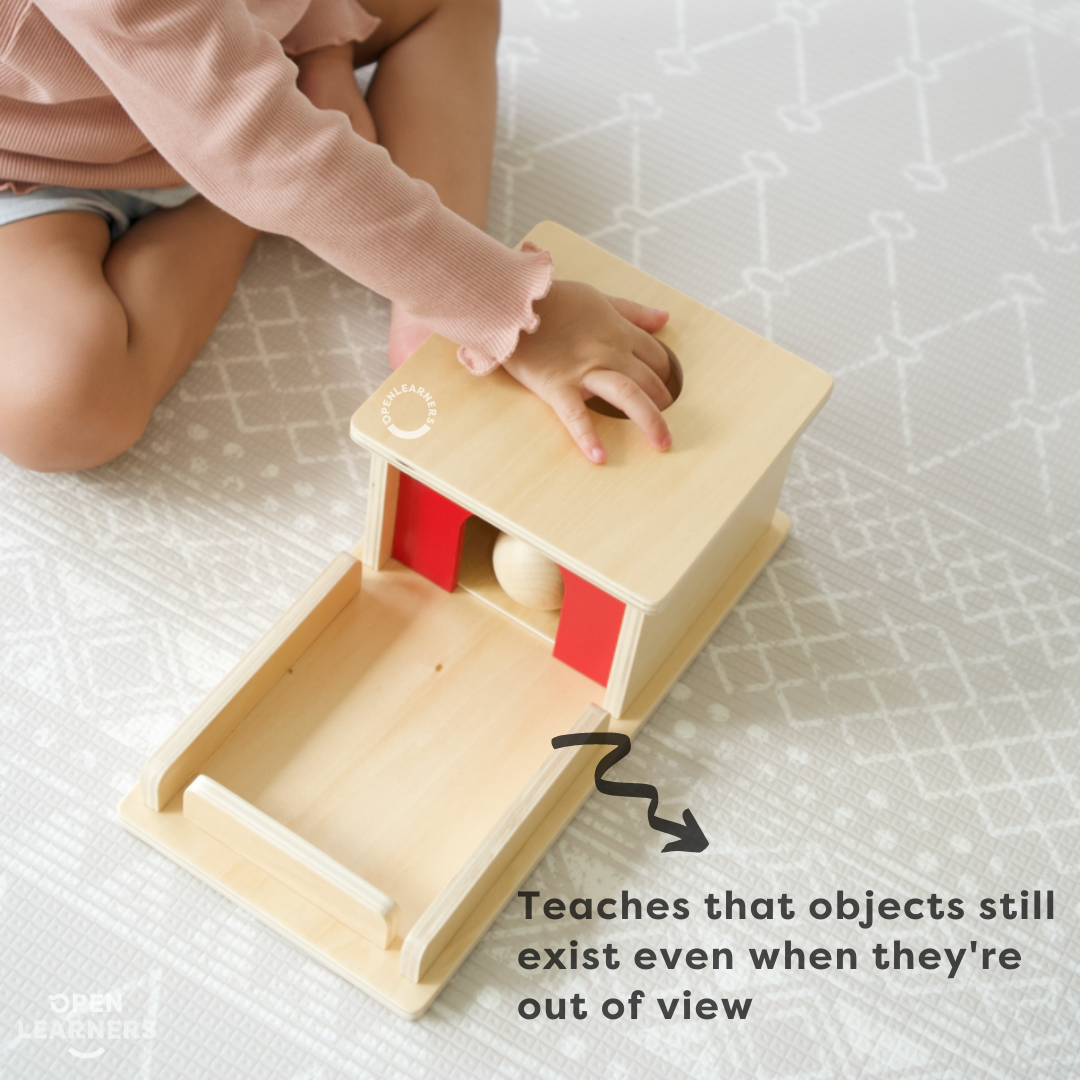 Montessori Ball Drop