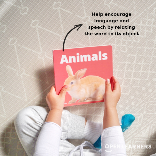 Animals Book