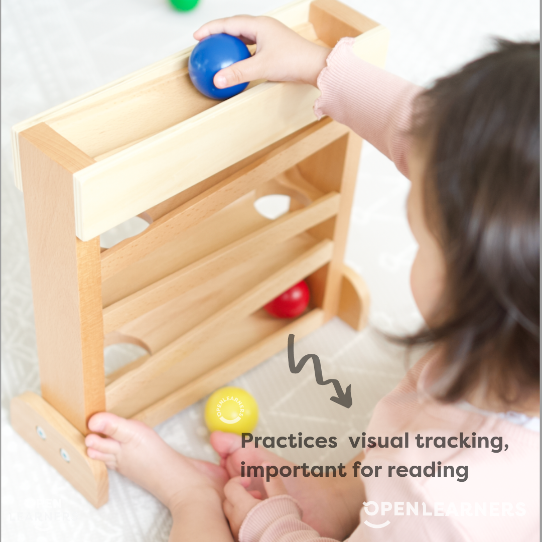 Montessori Ball Tracker